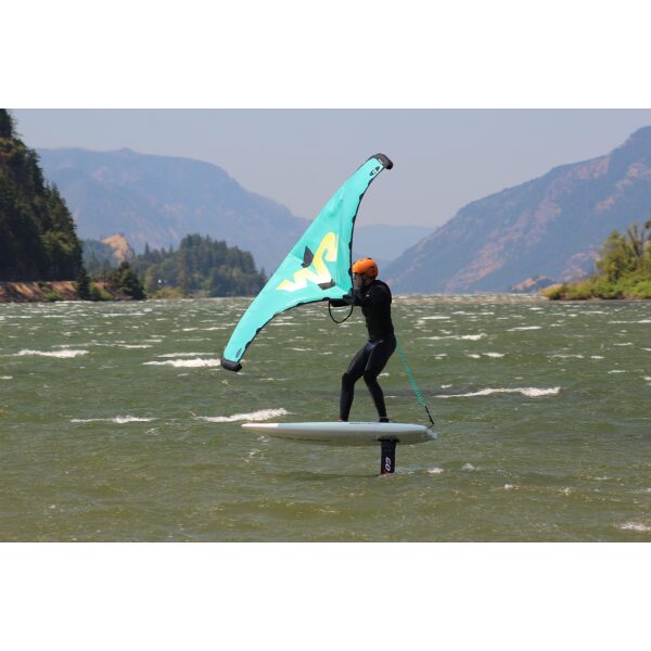 Beginner Wing Foil Private Lesson