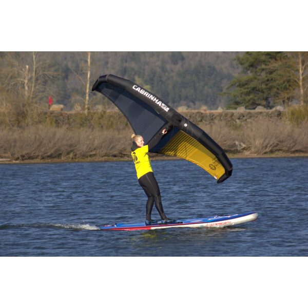 All In 3 Hour Wing Lesson