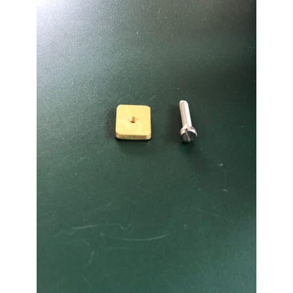 Chinook Fin Tab and Screw 20mm