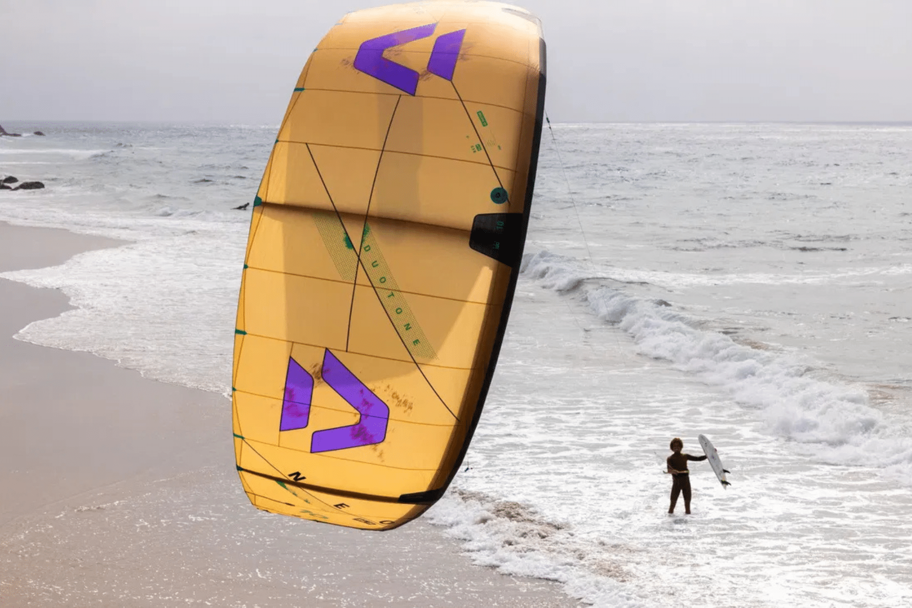 Duotone Whip D/Lab Directional Kiteboards 2026