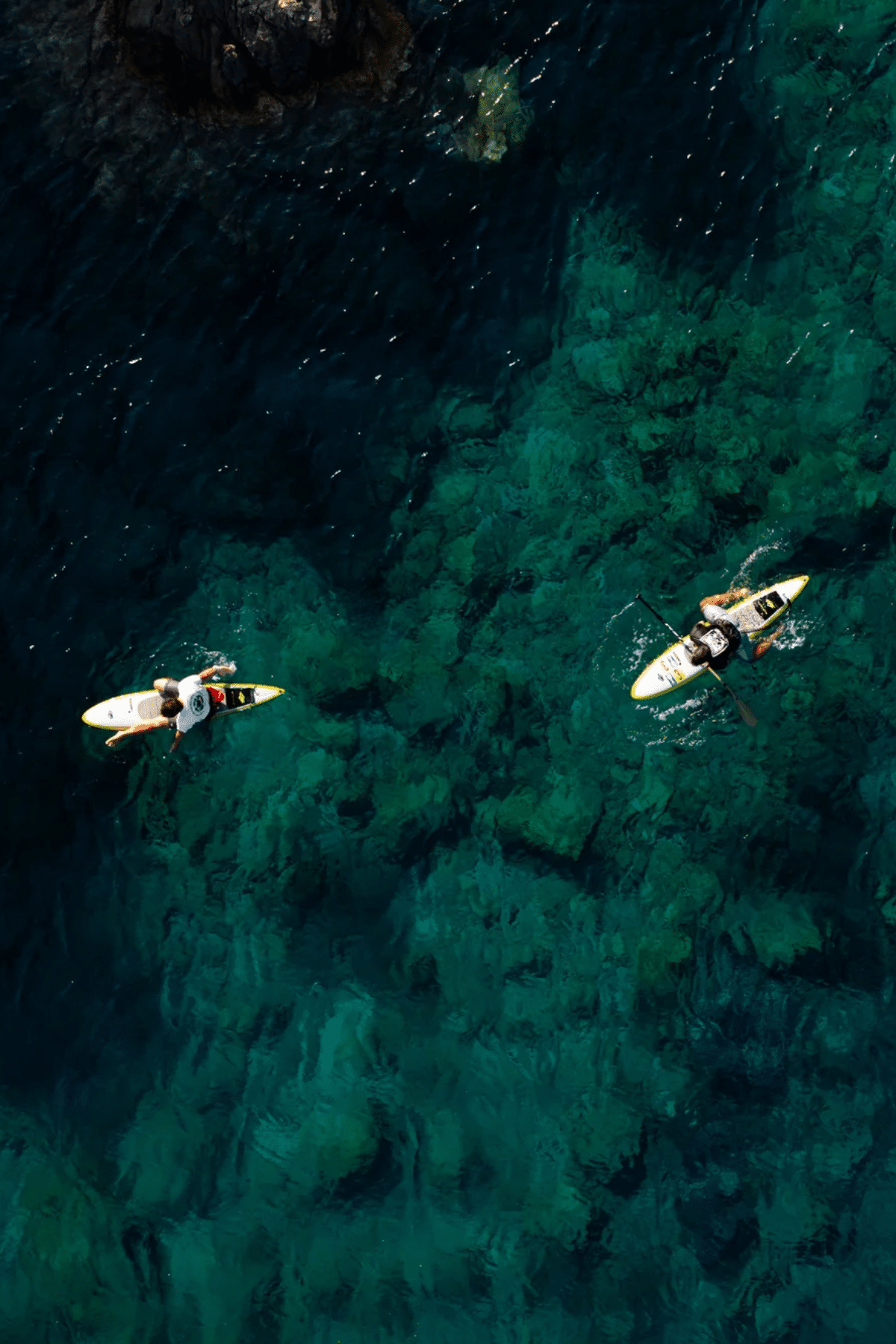 Naish Odyssey DW NVision SUP Foil Board 2026